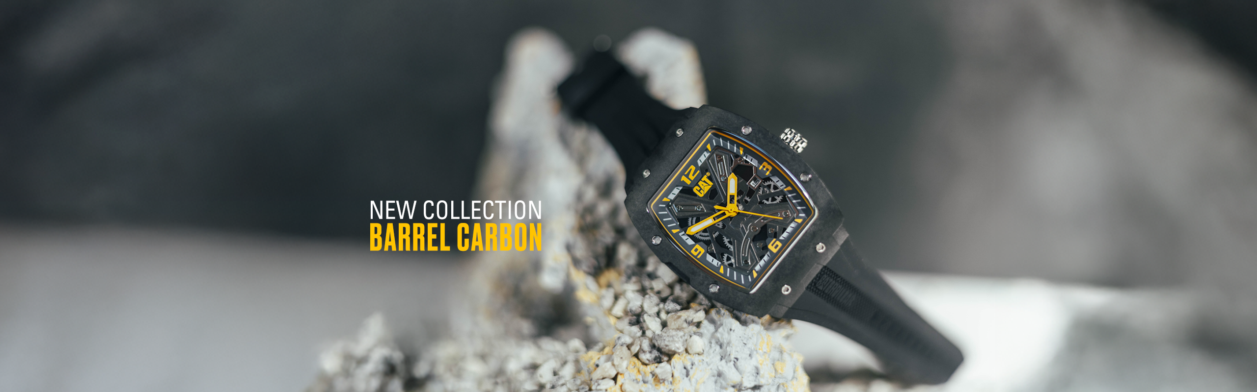 2025_homepage_2560x800_barrel_carbon (1)