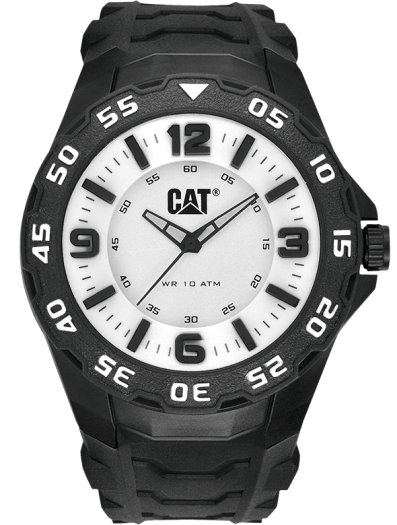 LB.111.21.231